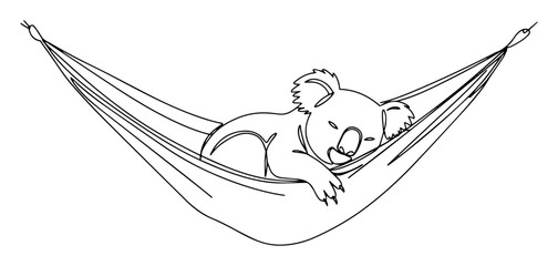 koala sleeping in hammock © Wieslaw