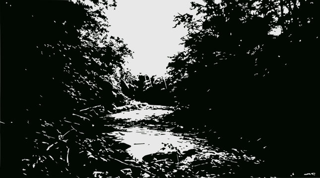 Dark Forest Stream Path, Black and White Silhouette, Nature Landscape