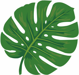 Monstera Leaf Vector Illustration © Opik