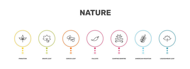 nature icon set with pinnation, grape leaf, american mountain ash, liquidambar leaf signs in flat outline style © Abstract