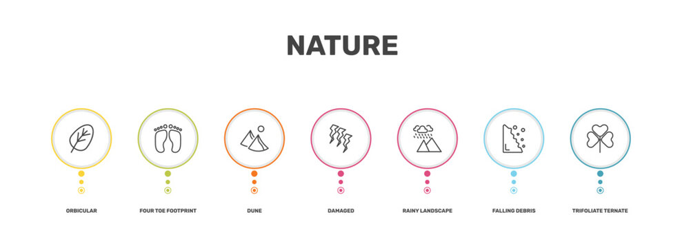 nature icon set with orbicular, four toe footprint, falling debris, trifoliate ternate signs in flat outline style