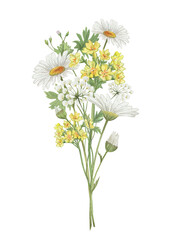 Fototapeta premium Watercolor floral bouquet. Hand painted wildflowers bouquet