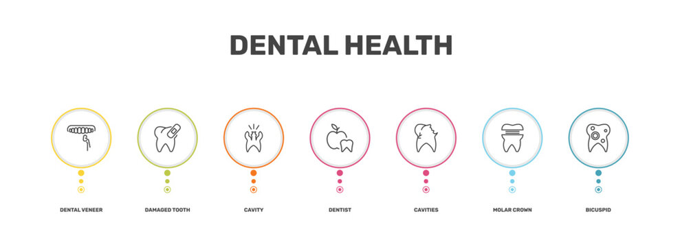 dental health icon set with dental veneer, damaged tooth, molar crown, bicuspid signs in flat outline style