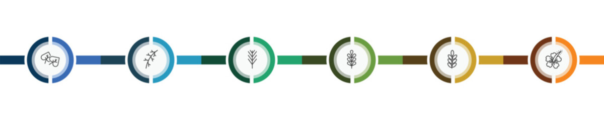 nature icon set with cercis leaf, larch leaf, acacia, hibiscus signs in flat outline style © Abstract