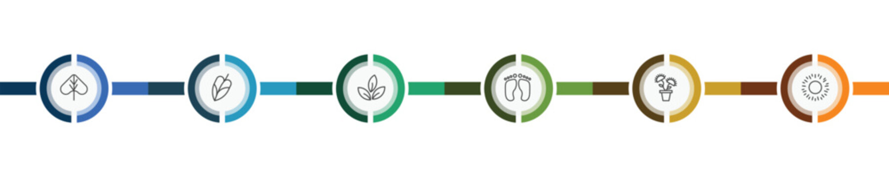 nature icon set with linden leaf, philodendron, carnivorous plant, shining sun with rays signs in flat outline style