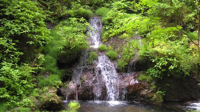 山の小さな滝