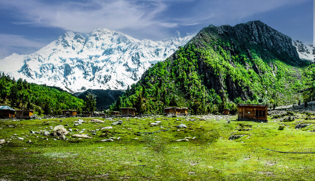 A peaceful summer landscape where crystal waters, green alpine meadows, and distant glaciers lead the eye toward the iconic summit of Nanga Parbat