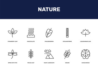 nature icon set with straberry leaf, fasciculate, philodendron, escuamiforme signs in flat outline style © Abstract