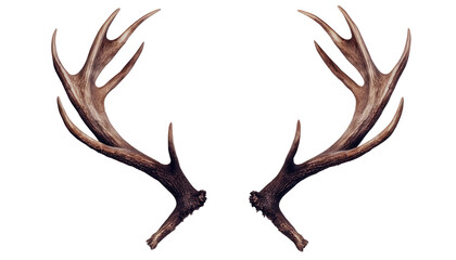 Obraz premium Reindeer horns deer antlers isolated on transparent background png