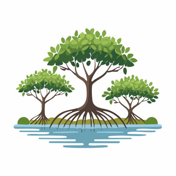Mangrove Trees with Exposed Roots in Water