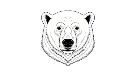 Obraz premium Polar Bear Head Illustration - Hand Drawn Sketch Art