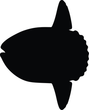 Black silhouette of an ocean sunfish or mola mola swimming in the deep sea, simple flat icon design for marine wildlife and aquatic nature graphics or projects