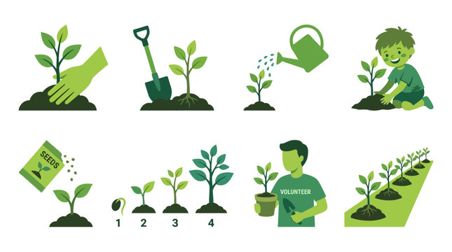 Vector set illustrating various stages of plant growth and gardening activities with hands, tools, and people.