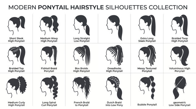 Modern ponytail hairstyle silhouettes collection showcasing different styles and lengths for women.