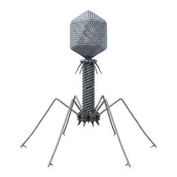 Bacteriophage T2 Virus Isolated on Transparent Background