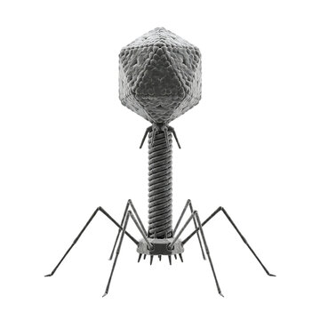 Bacteriophage T2 Virus Isolated on Transparent