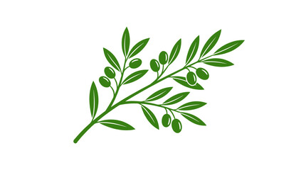 Fototapeta premium Green olive branch with leaves and olives vector illustration