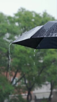 Rain water drops falling and splashing on black umbrella while raining outside.Vertical video.sstkVertical