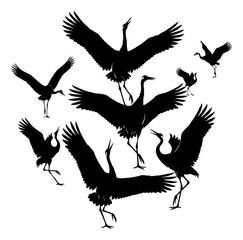 Obraz premium Black Crane Bird Silhouettes Collection in Various Poses