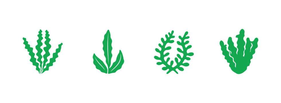 Marine botanical elements grouped in a vector icon pack with transparent background.