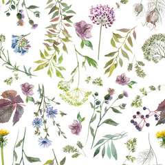 Seamless floral background with food spices and medicinal herbs © Alala