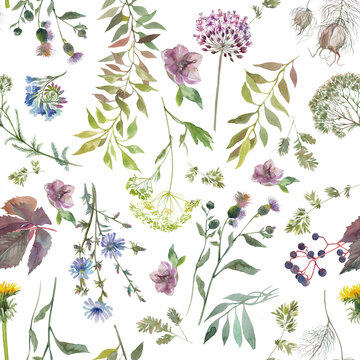 Seamless floral background with food spices and medicinal herbs