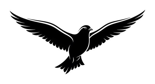 Black crow in flight with spread wings against white background, bird