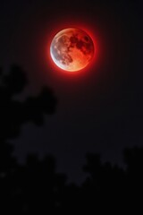 Obraz premium Red moon glows in dark night sky. Lunar eclipse shows red halo around moon. Silhouetted trees frame celestial event. Dark sky background with subtle moon craters visible.