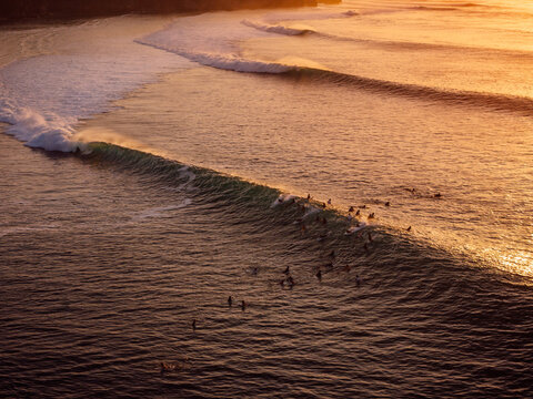 Golden swell waves at sunset viewed from above with surfers below