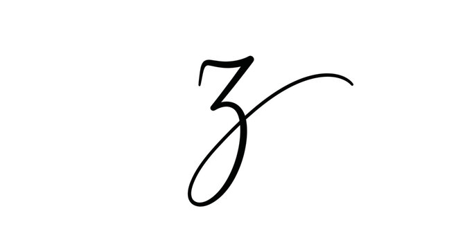 Elegant script letter Z in black ink on a white background, calligraphy, handwriting