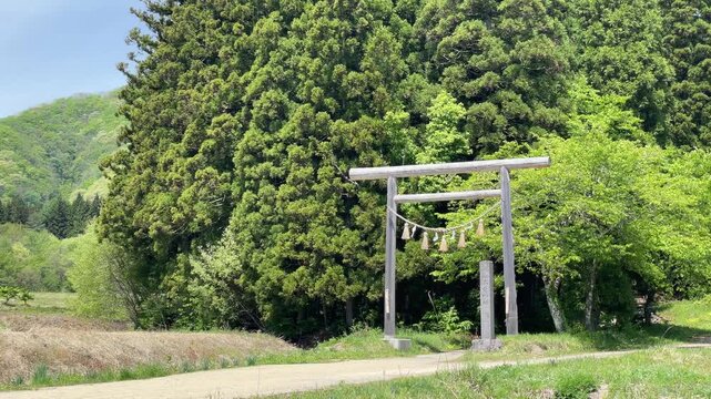 村の鎮守さま、鎮守の森、大内宿、高倉神社
