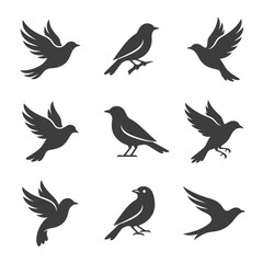Fototapeta premium Elegant Collection of Bird Silhouettes Flying and Perched Vector Icons