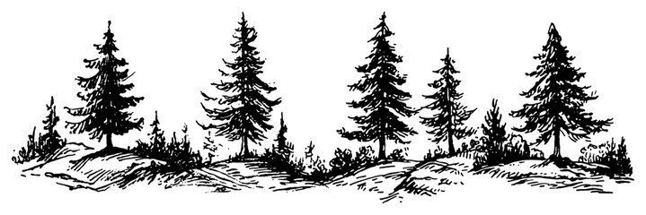 Coniferous pine and fir forest trees in hilly mountain landscape sketch vector illustration © Katarzyna
