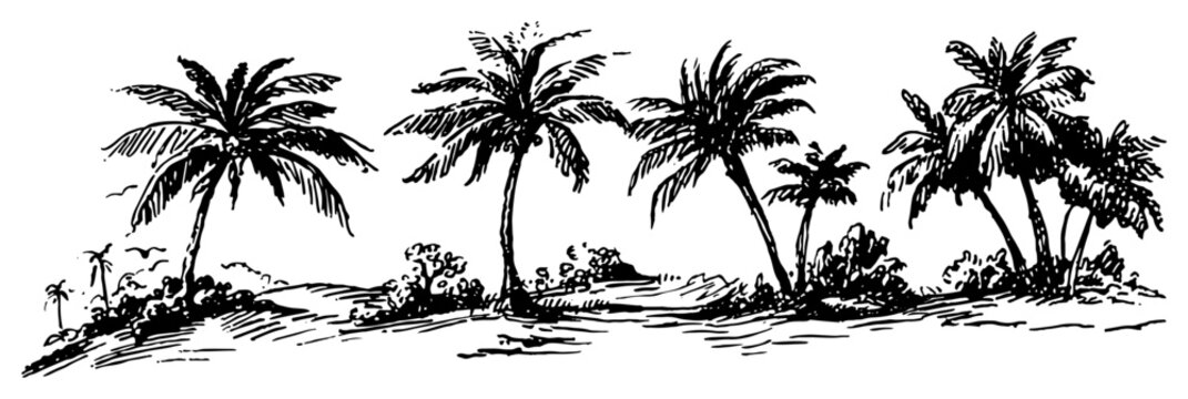 Palm trees on tropical beach coastline hand drawn sketch vector illustration