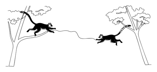 Ring-tailed lemurs jumping between tropical trees one line drawing