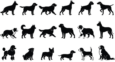WebCollection of popular dog breed silhouettes set including german shepherd retriever poodle and husky isolated on white background © JanokChandra