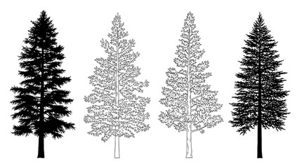 Four trees in 2D CAD Vector illustration with varying designs and black silhouettes © Stock Image Paradise