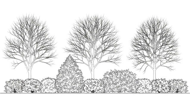 2D CAD Vector illustration of trees and bushes in a landscape
