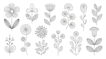 black floral line illustrations on white background flowers art botanical drawings designs simple patterns nature motifs hand drawn ornamental plants stem © Raian