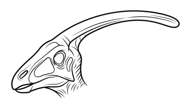Parasaurolophus dinosaur head sketch illustration.