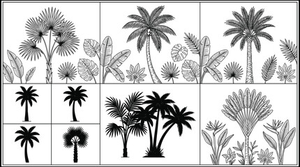 Fototapeta premium Black and white botanical illustrations of palm trees, banana leaves, and tropical foliage in detailed line art and silhouettes