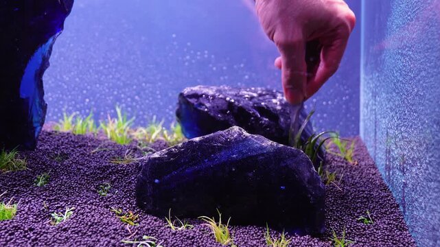 Aquascape and Aquascaping