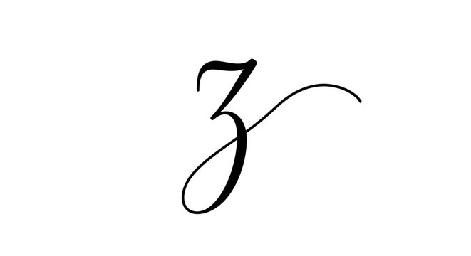 Elegant Script Letter Z, Calligraphy Design, Minimalist Typography, Black and White