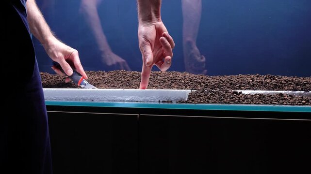 Aquascape and Aquascaping