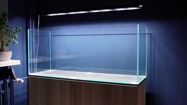 Aquascape and Aquascaping