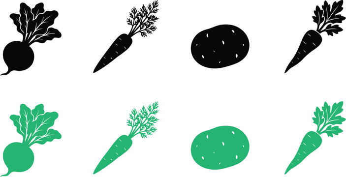 Vector icon set of colorful root vegetables beets and carrots