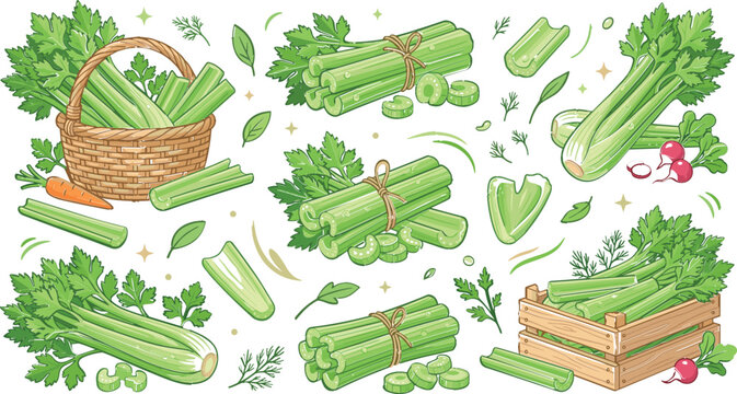 Organic Celery Harvest Collection with Fresh Celery Stalks, Rustic Basket and Crate, Garden Produce, Healthy Farm Food, and Botanical Elements