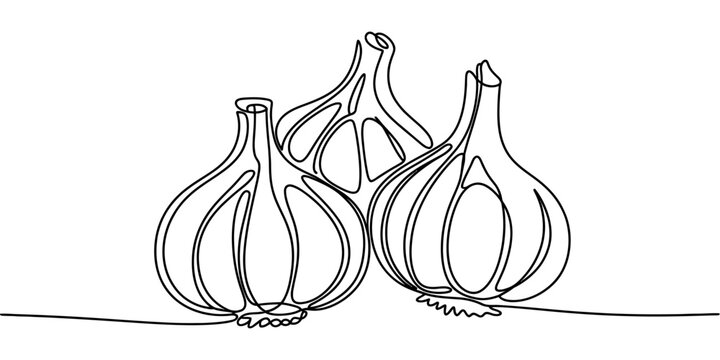 Three garlic bulbs in a simple continuous line drawing style
