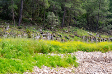 Olympos is an ancient Lycian harbor city set in a lush river valley in Antalya, Turkey. Famous for merging Hellenistic, Roman, and Byzantine ruins with untouched nature, it features sarcophagi, ancien © enderbayindir