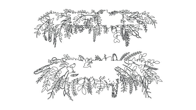Detailed line art frames of various plants and leaves on a transparent backdrop element.